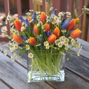 spring is in the air